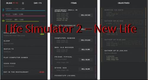 Life Simulator 2 – New Life MOD APK