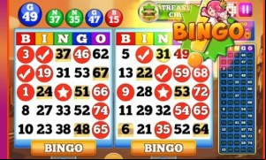 BINGO! MOD APK