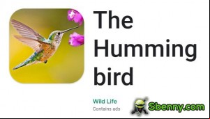 The Hummingbird MOD APK